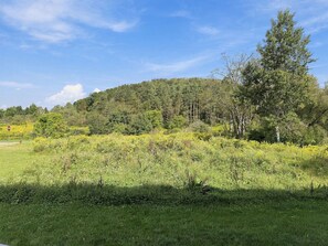Eine natürliche Landschaft mit einem grasbewachsen Vordergrund, einem Hügel mit Bäumen und einem klaren Himmel.