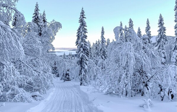 Unclassified image, 1 of 14, button - Nice home in Järpen with WiFi (Järpen)