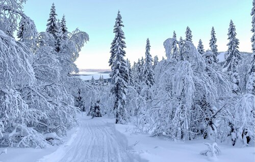 Nice home in Järpen with WiFi
