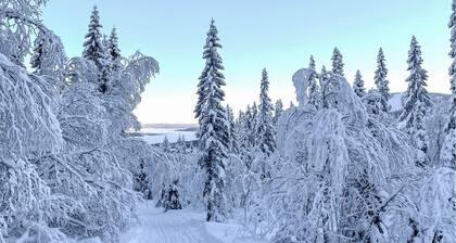 Nice home in Järpen with WiFi