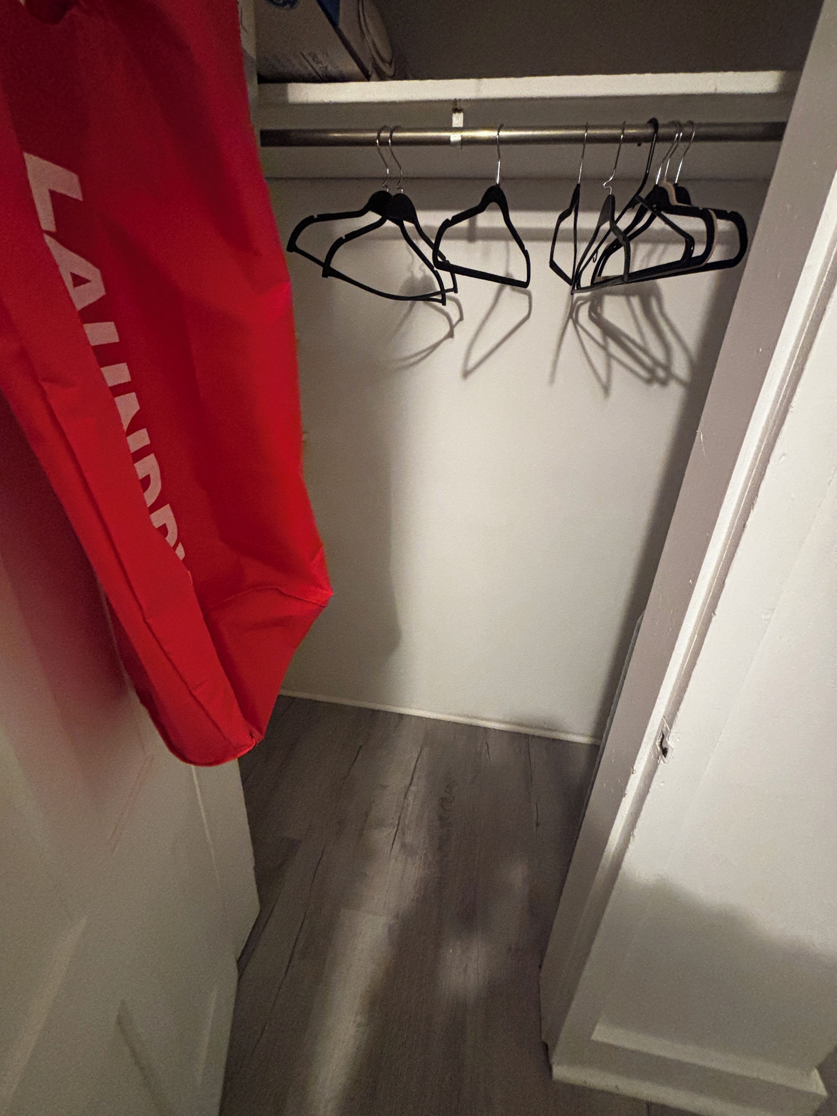 Front room closet 