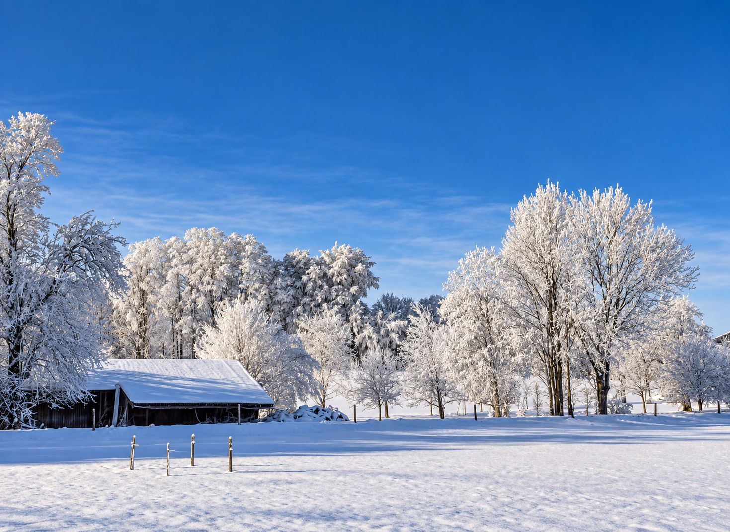 Schneebedeckte Landschaft mit Scheune und Bäumen.