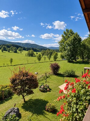 Üppige grüne Landschaft mit blauem Himmel, verschiedenen Bäumen und einem fernen Gebirgszug.