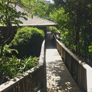 A wooden bridge with railings, surrounded by lush greenery and trees.