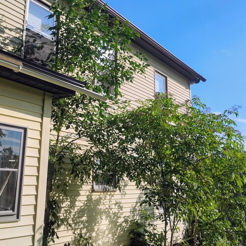 Charming  and cozy 3-bedroom apartment in western mountains of Maine