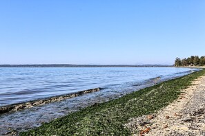 A beach with clear water, a rocky shoreline, and a distant tree line. - Water & Gulf Islands Views, Beach Access, Hot Tub, Game Room (Bellingham)
