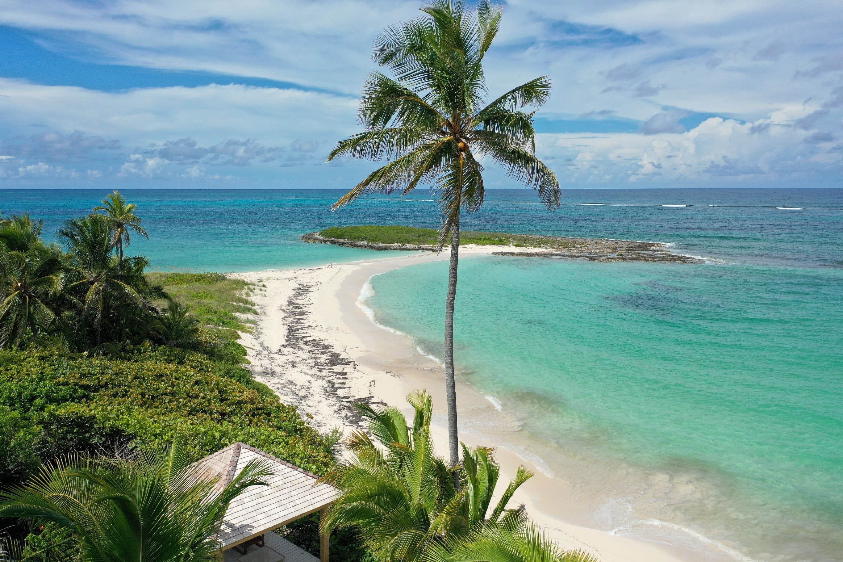 Una playa con aguas turquesas cristalinas, una orilla arenosa y una palmera.