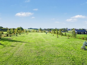 A rural landscape with a large open field, scattered trees, and a few buildings in the distance. - "Sighrik" - 600m from the sea by Interhome (Stubbekøbing)