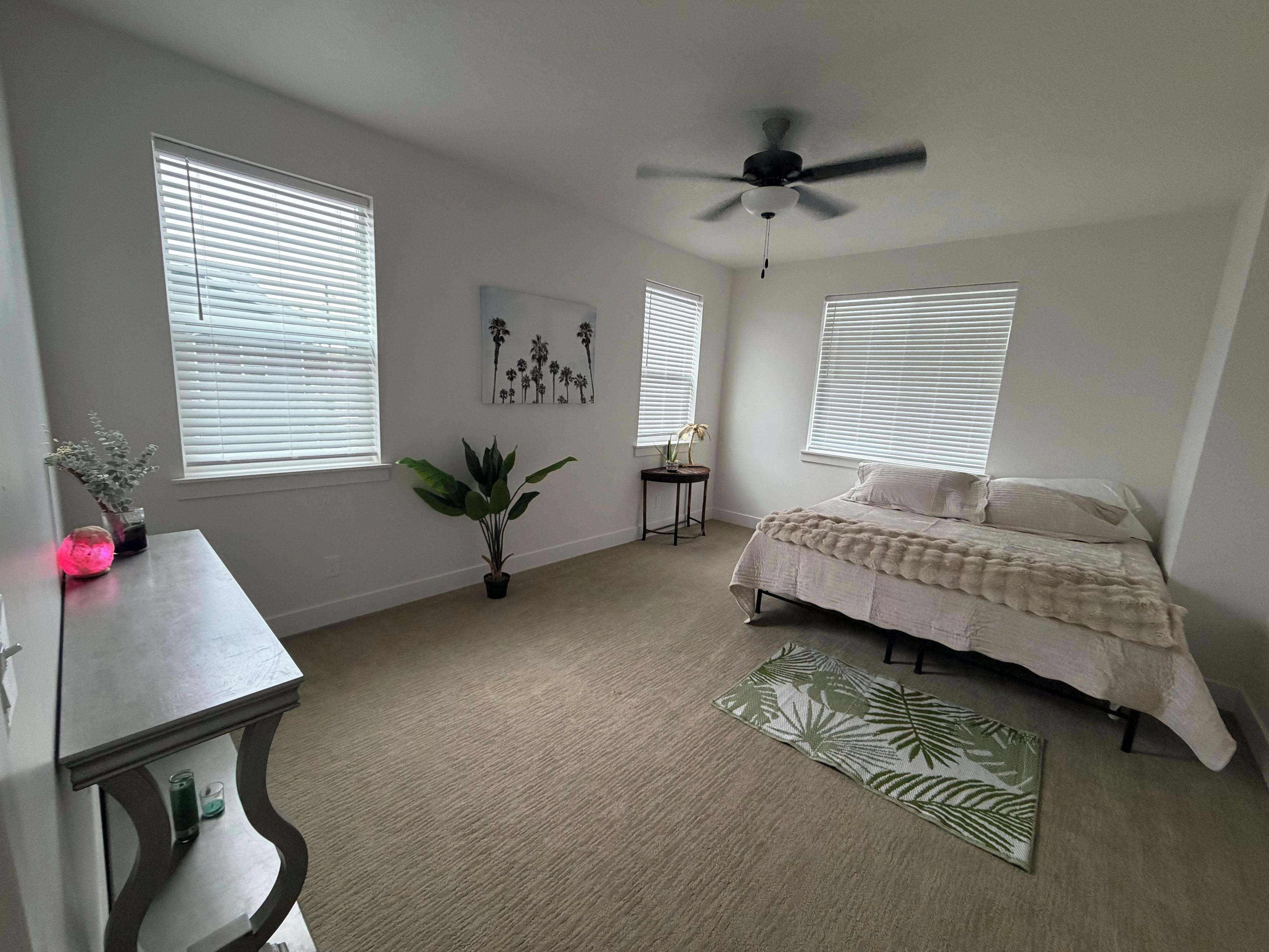 A bedroom with a bed, a ceiling fan, two windows with blinds, a small table with a plant, and a decorative rug.