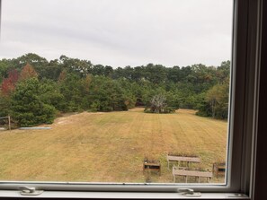Vista desde una ventana de un campo cubierto de hierba con árboles al fondo y un banco de madera en primer plano.