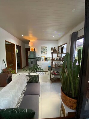 Ein Wohnzimmer mit einer Couch, einer Küchenzeile und einer großen Sukkulente.