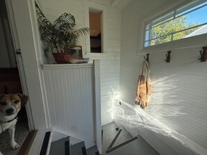 Une pièce avec un mur extérieur blanc, une fenêtre, une plante en pot, une serviette accrochée à un crochet et un chien à l’entrée.