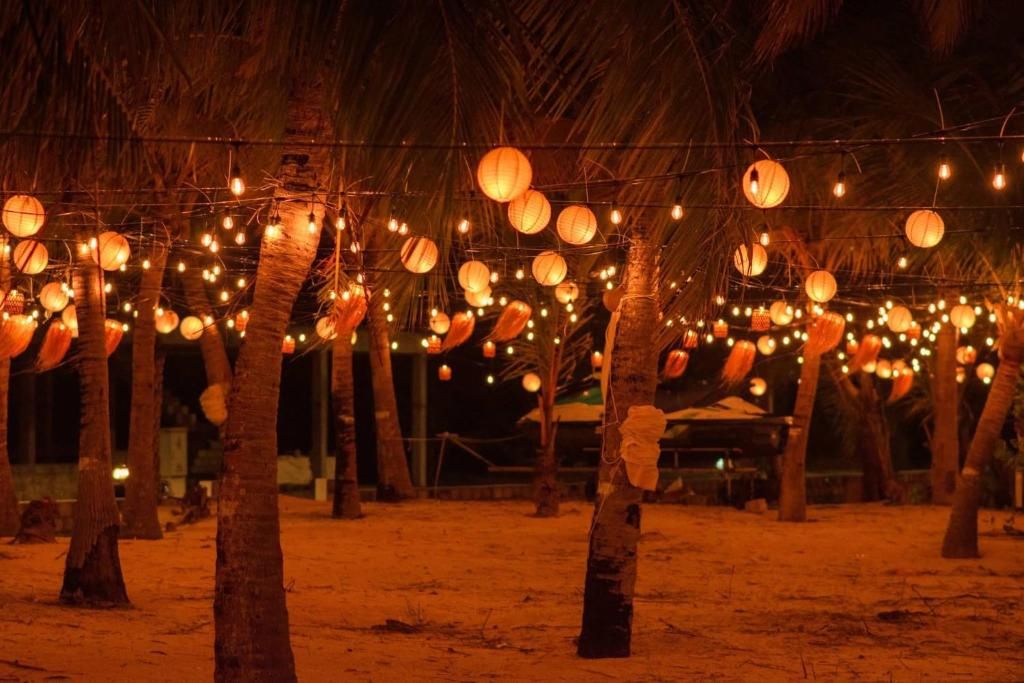 A beach area with palm trees and string lights.