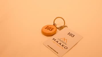 A hotel room with a bed, a television mounted on the wall, a desk with a chair, and a keychain with a number tag.