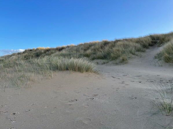 Oklassificerad bild, 1 av 14, knapp