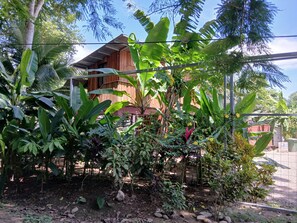 Property grounds - Super cute 2 bedroom home nestled in the orchards of Costa Rica (Rio Grande)