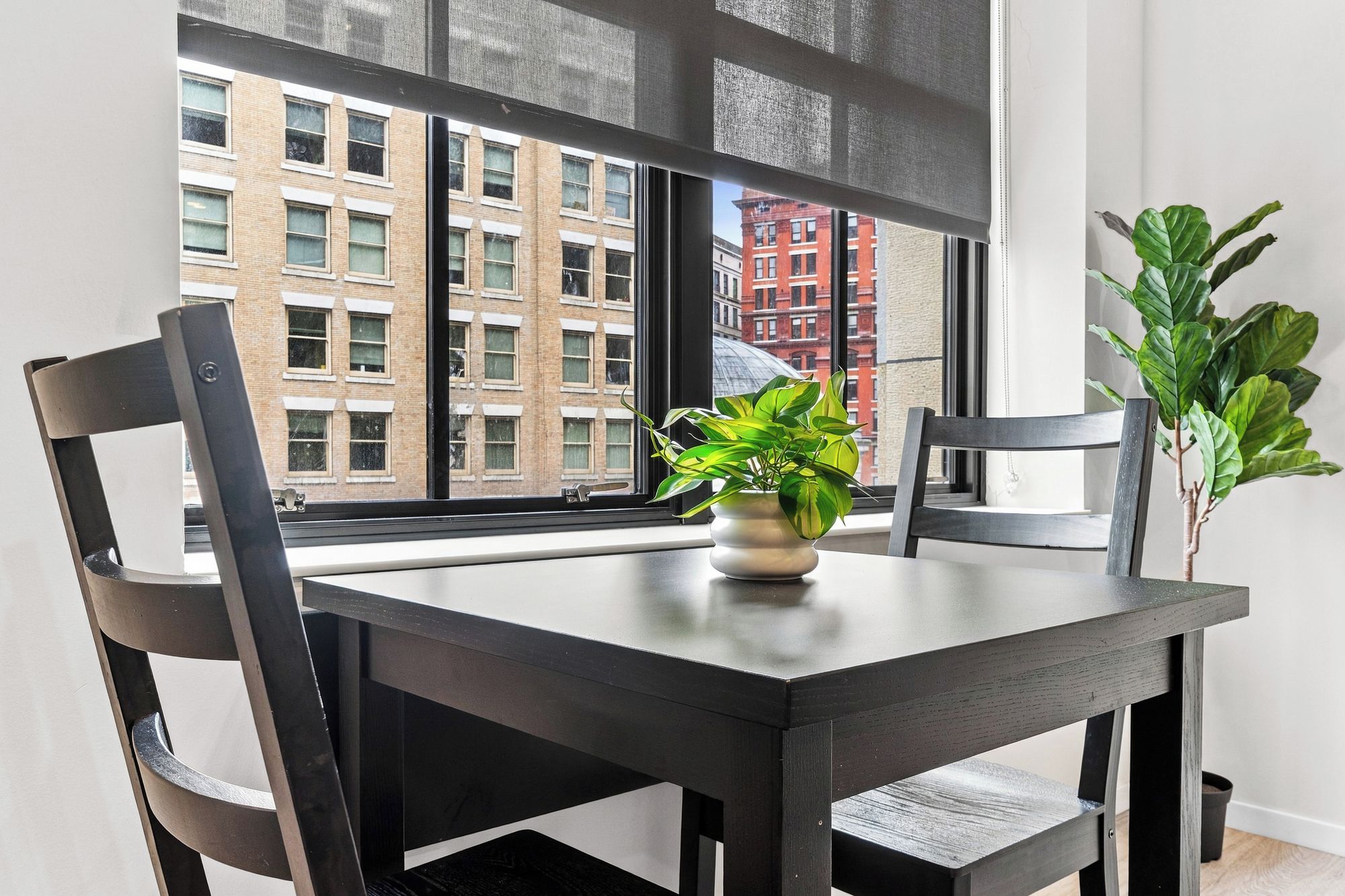 A dining area with a table, chairs, and a potted plant.