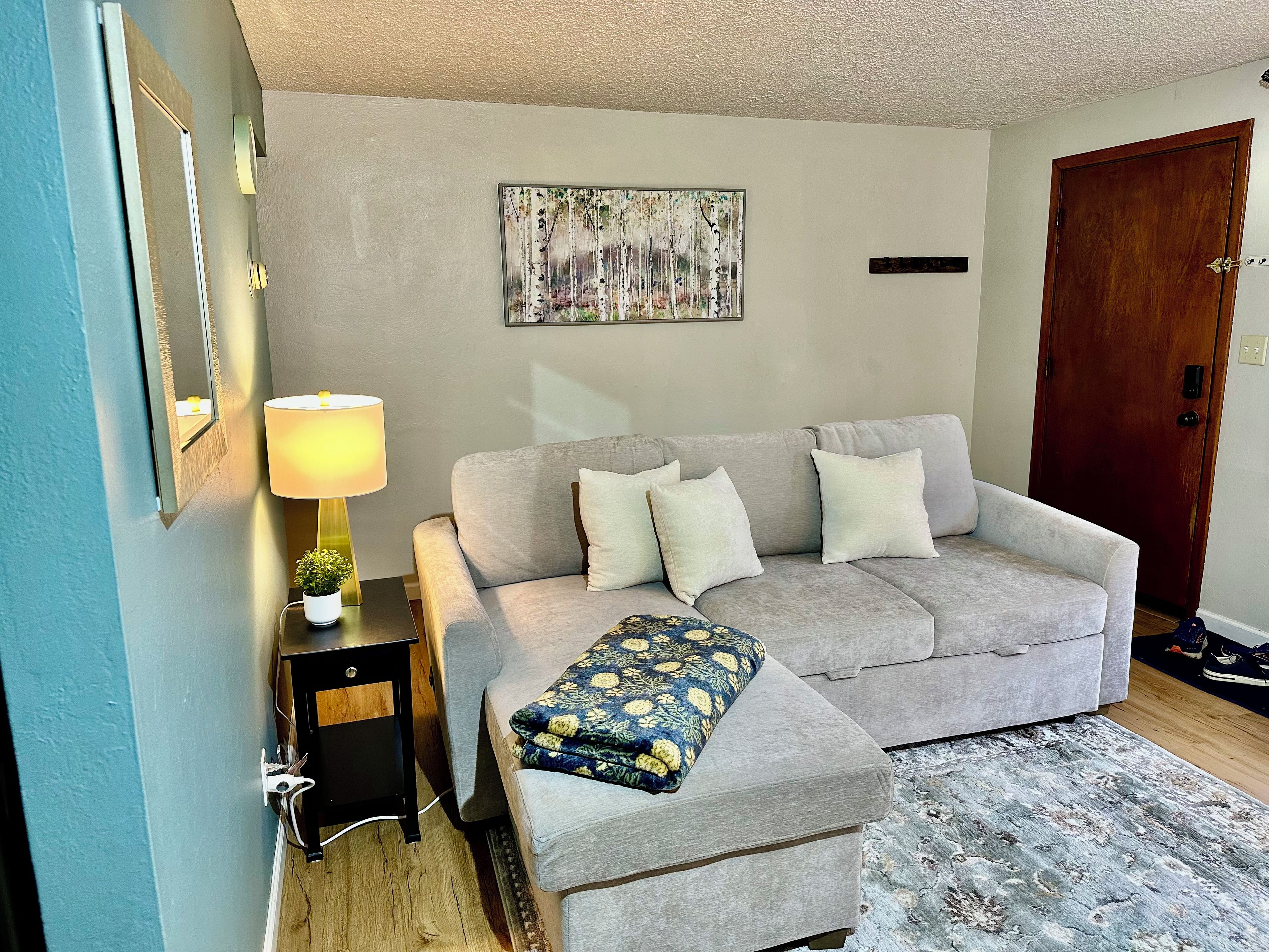 A living room with a grey sofa, a small table with a lamp, a painting on the wall, and a wooden door.