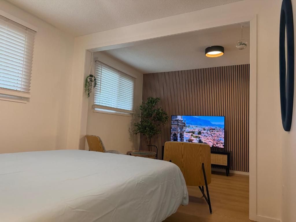 A bedroom with a bed, a television, a chair, and a plant.