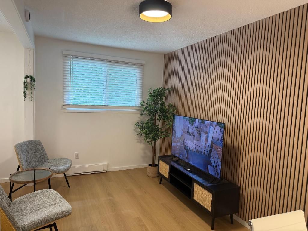 A living room with a flat-screen TV, two chairs, a potted plant, and a wooden wall panel.