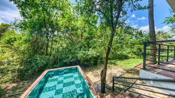 A swimming pool surrounded by lush greenery and a staircase leading to a covered area. - Wild Wadi Wilpattu (Eluwankulama)