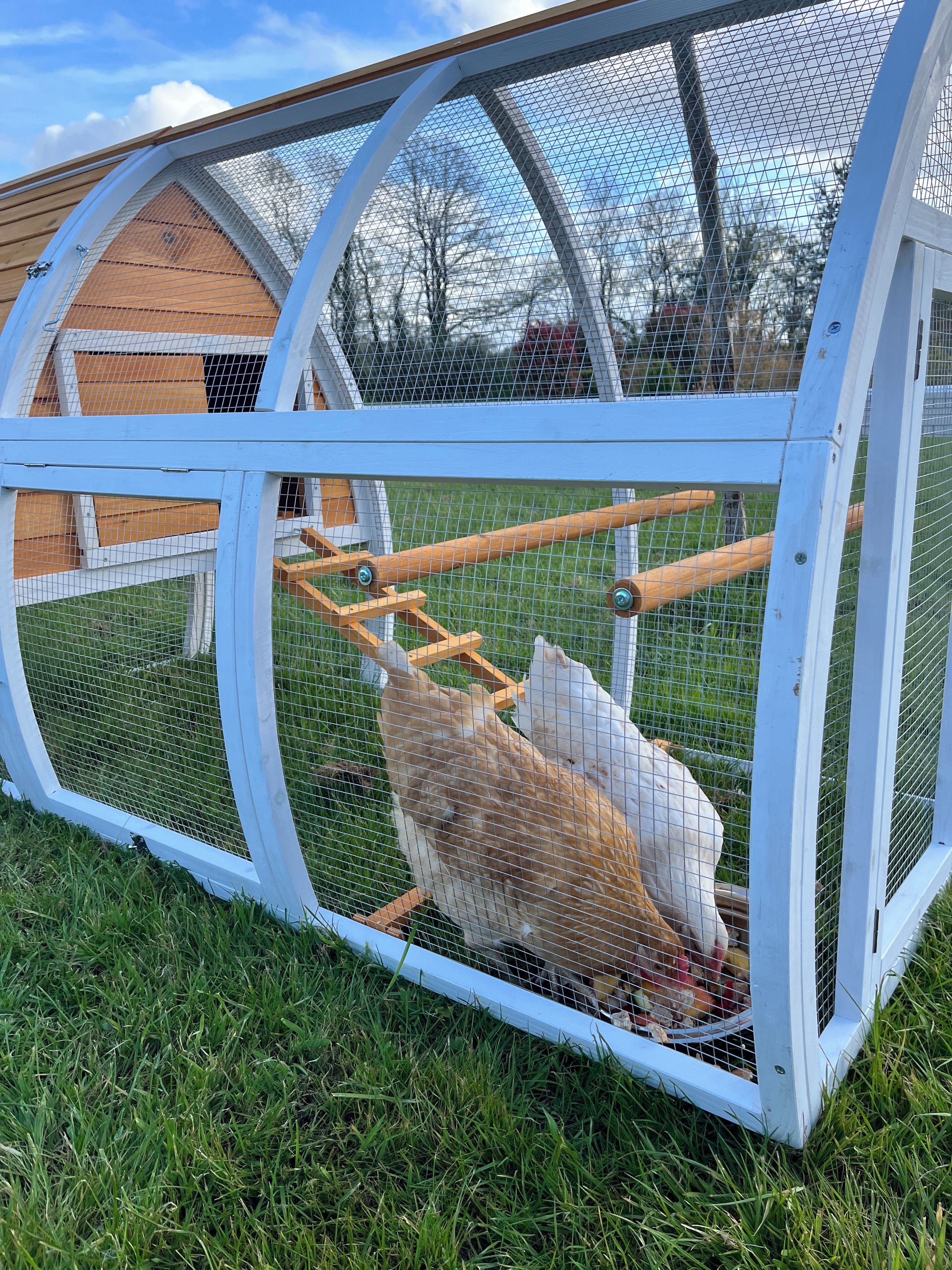 A chicken coop with a wire mesh and wooden beams, surrounded by grass.