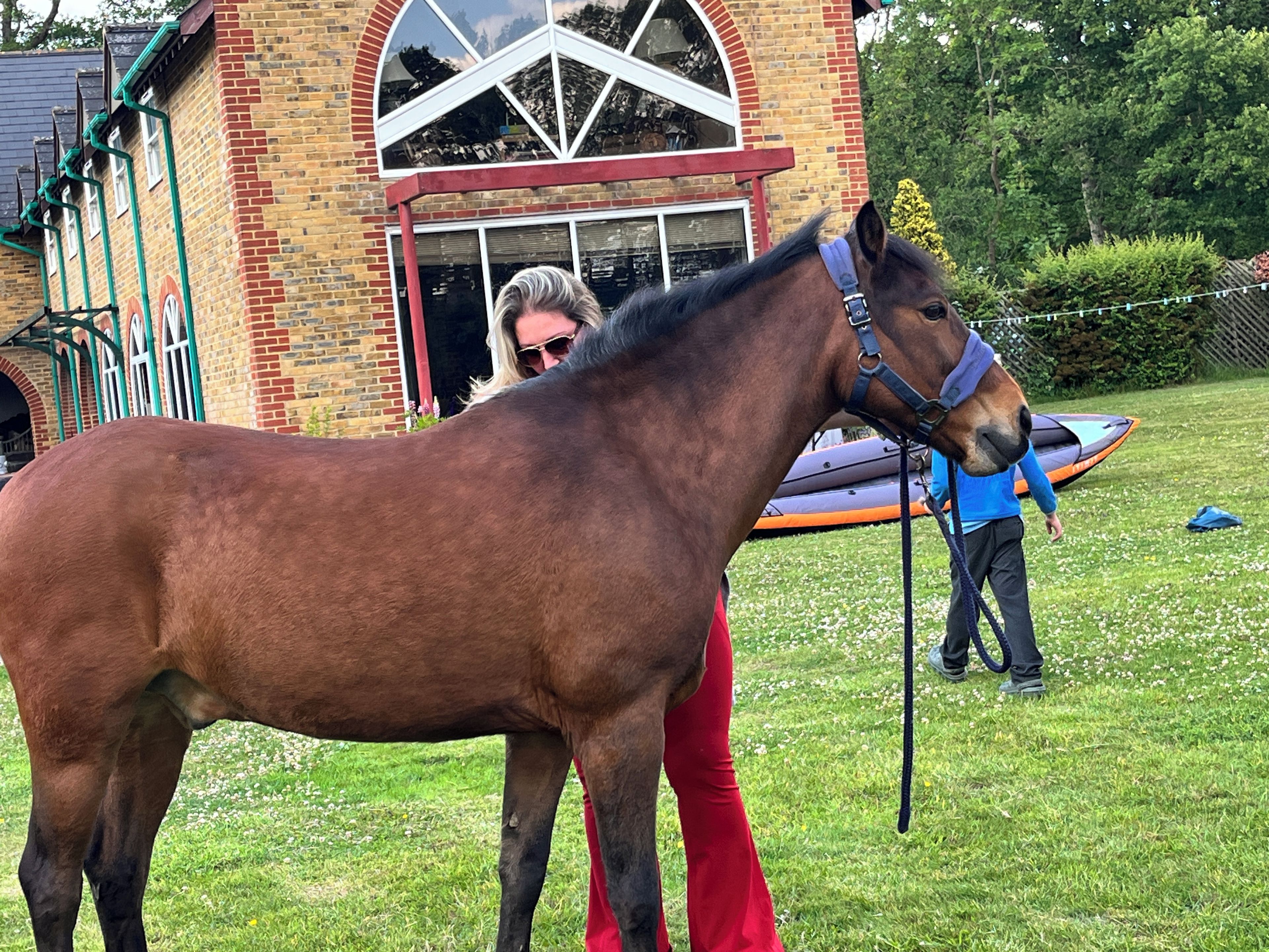 A horse standing in a grassy area with a building in the background.