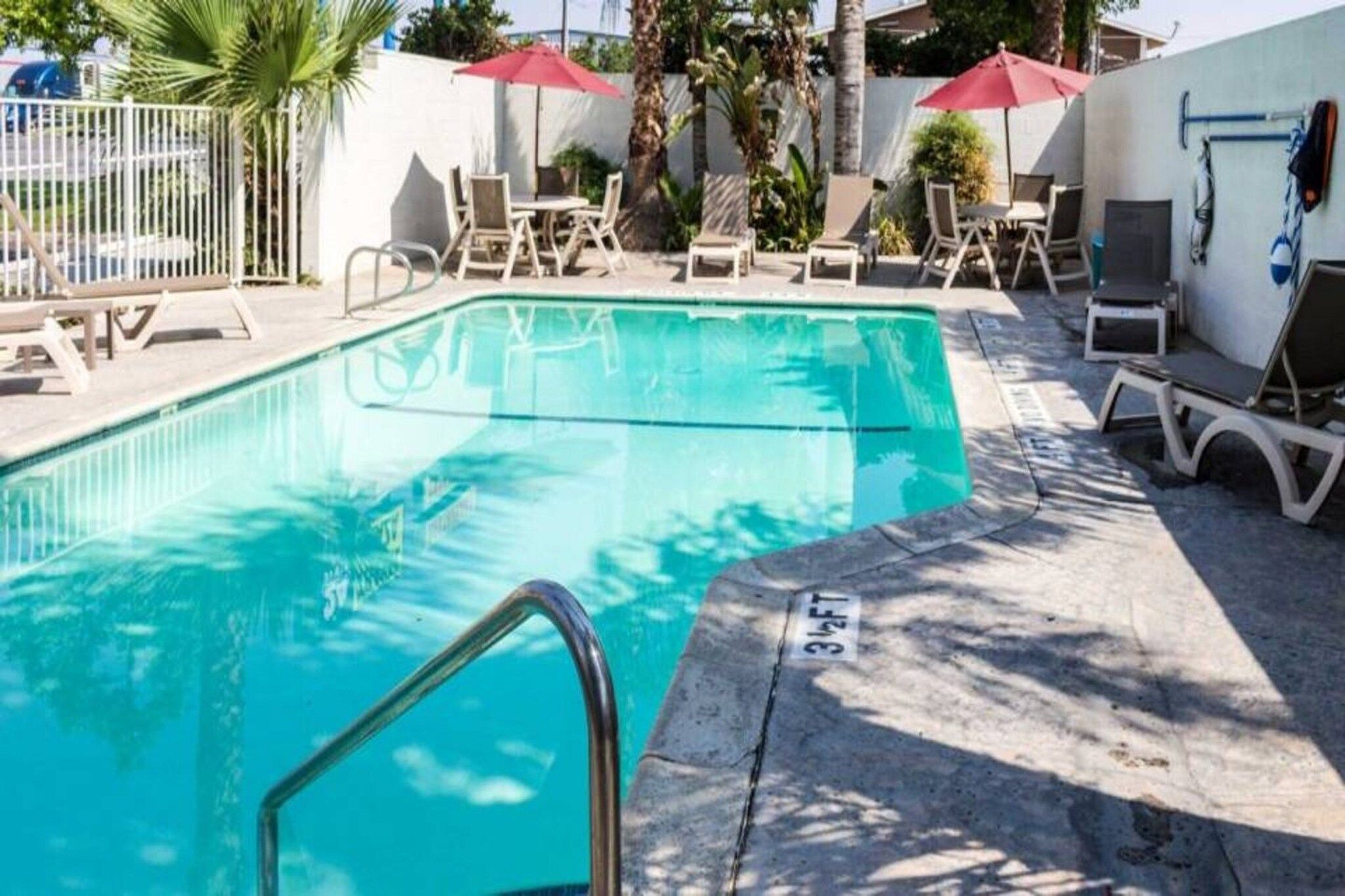 Piscina com espreguiçadeiras e guarda-sóis, cercada por um muro branco e palmeiras.