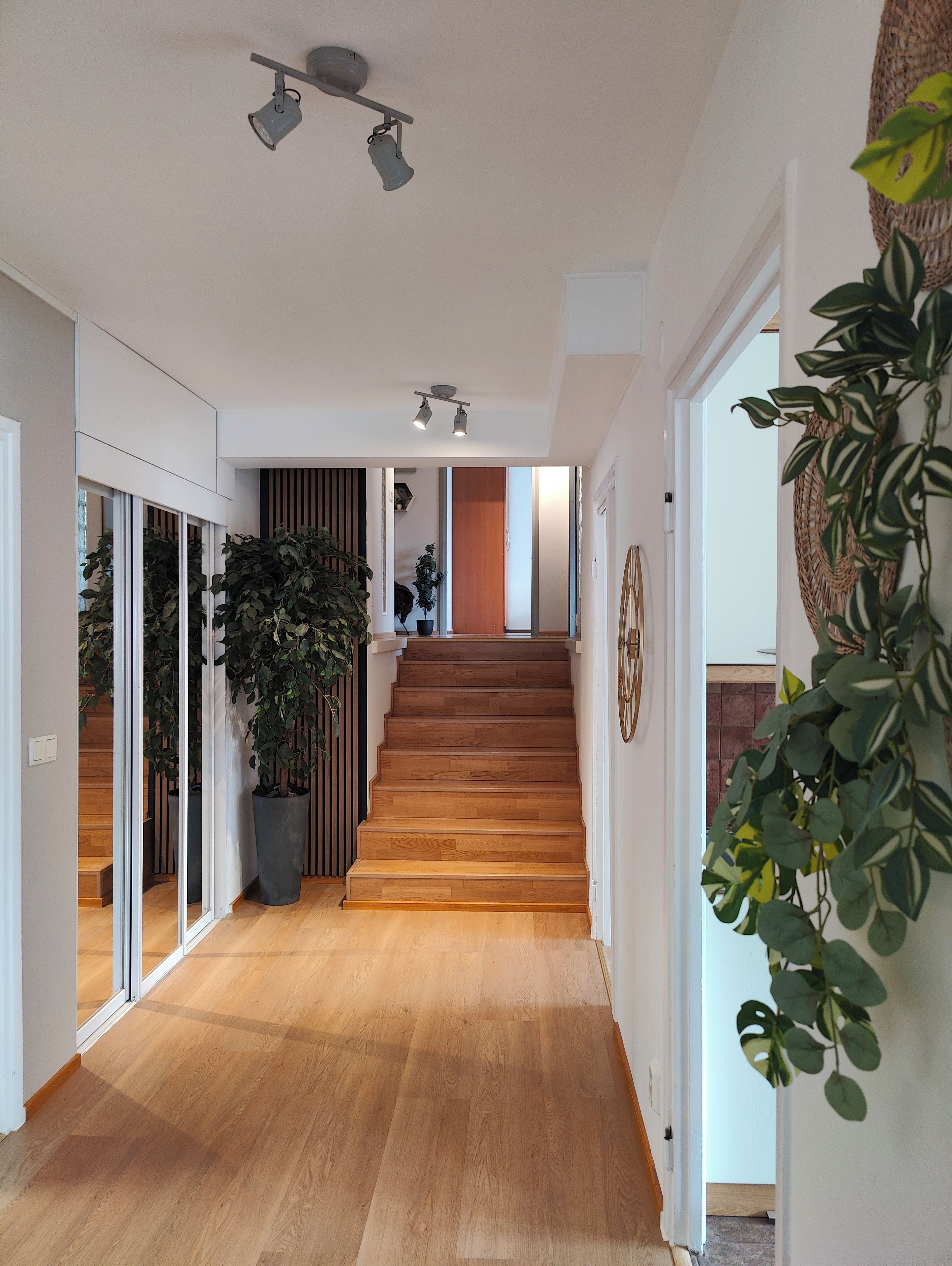 Eine hölzerne Treppe führt zu einer zweiten Etage, gesäumt von Glastüren und Topfpflanzen.