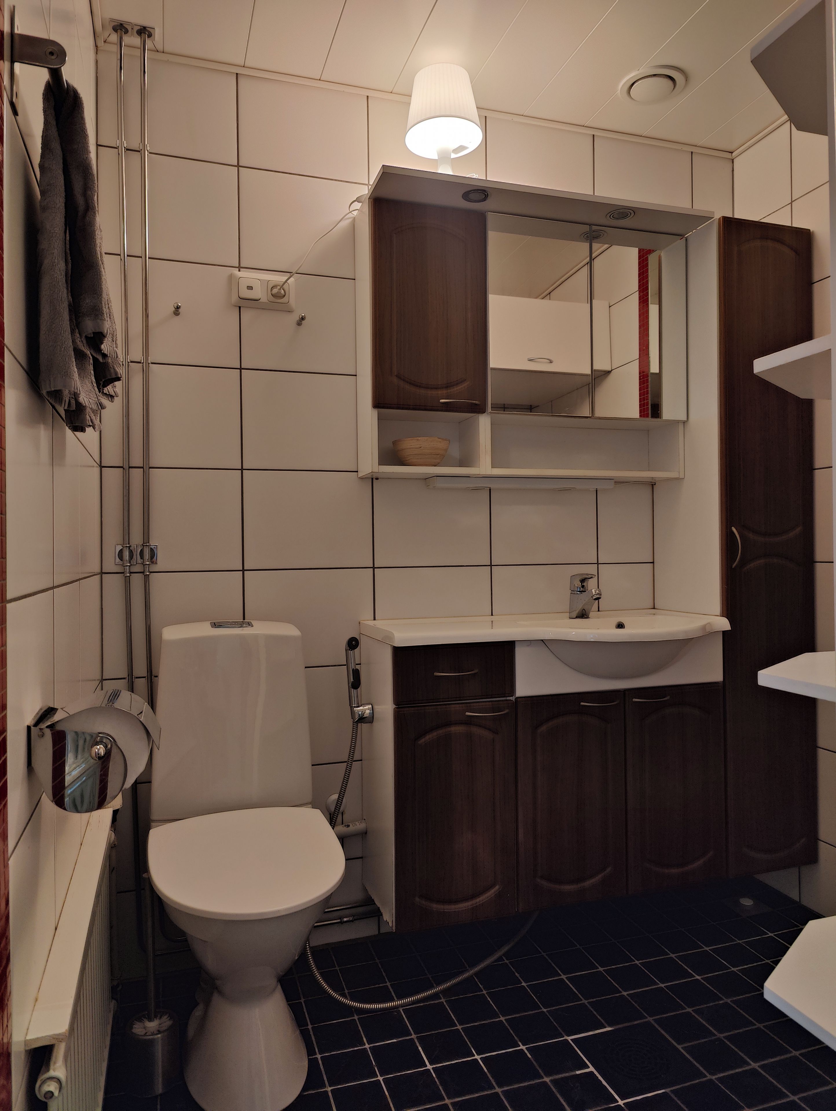 Une salle de bain équipée de toilettes, d’un lavabo, d’un miroir et d’un porte-serviettes.