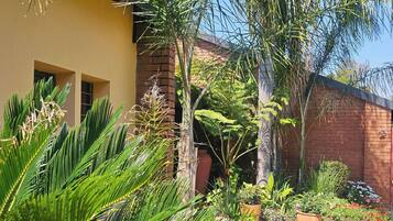 A garden with a variety of plants, a stone pathway, and a building with a yellow wall and windows.