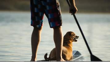 A person standing on a paddleboard with a dog on a transparent board, in a body of water.