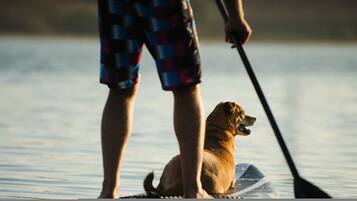 A person standing on a paddleboard with a dog on a transparent board, in a body of water.