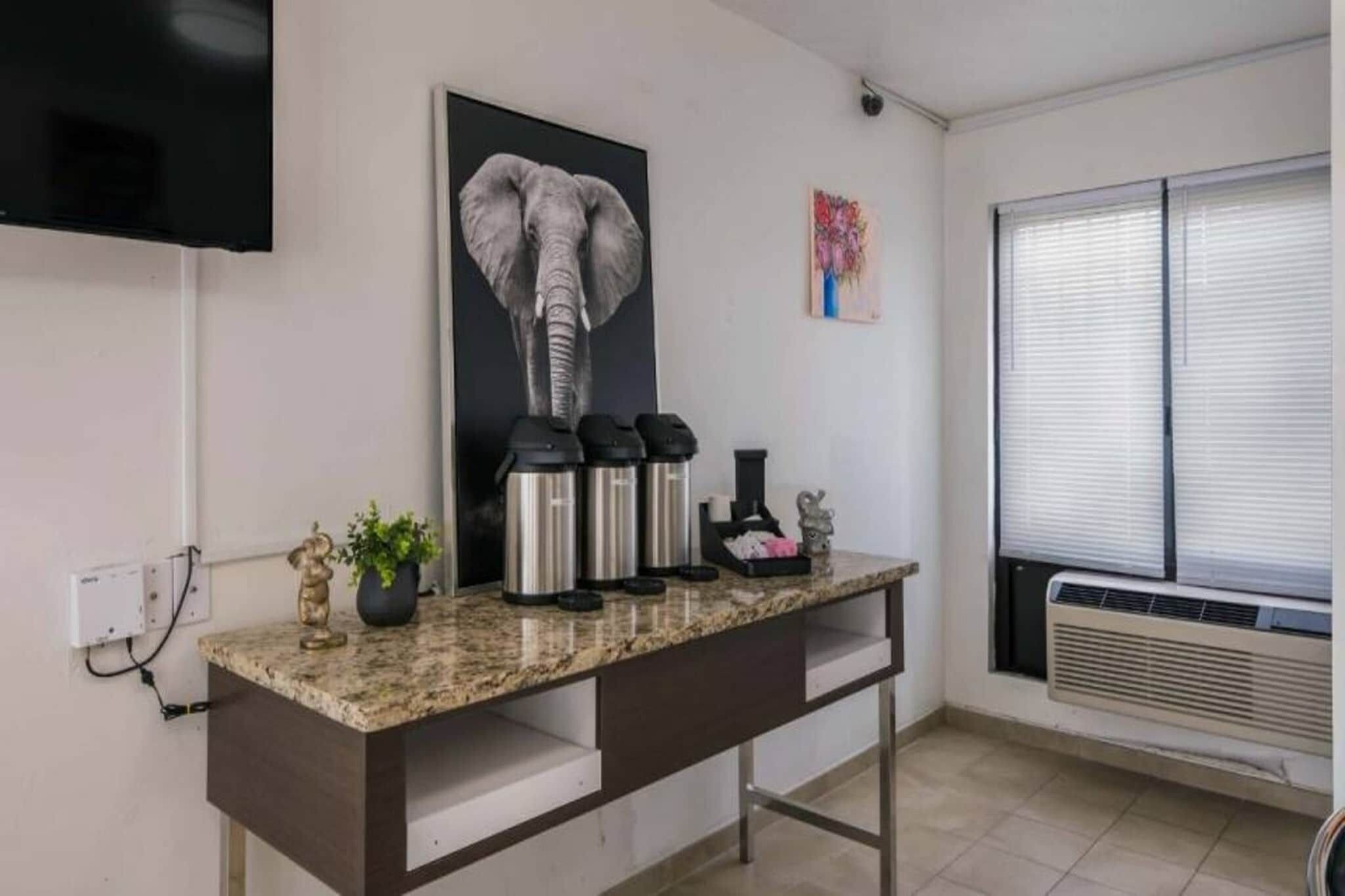 A kitchen with a granite countertop, stainless steel appliances, a potted plant, and a mounted television.