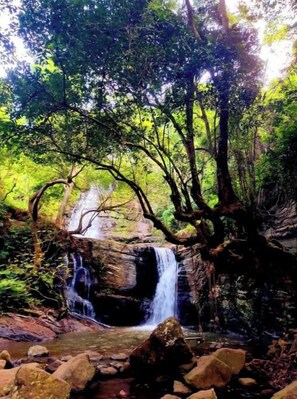 Miscellaneous - Olympos camping 2 (Morogoro)