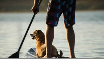 A person standing on a paddleboard with a dog, in a calm body of water.