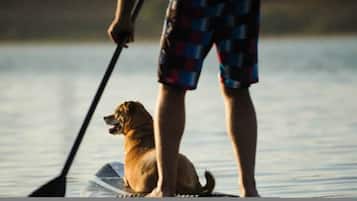 A person standing on a paddleboard with a dog, in a calm body of water.