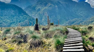 A wooden pathway leading through a natural landscape with mountains in the background.