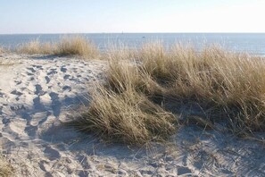 En sandstrand med högt gräs och fri utsikt över havet.