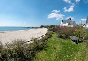 Een kuststrand met een zandstrand, een stenen muur en een grasveld met een bankje.