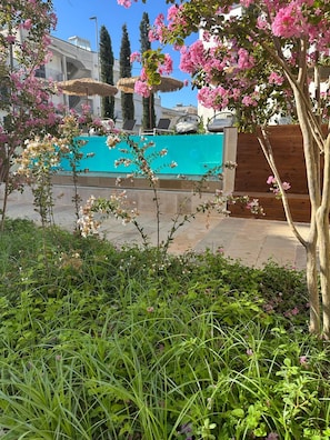 Zona de piscina amb tanca de fusta, un arbre amb flors roses i un edifici al fons.