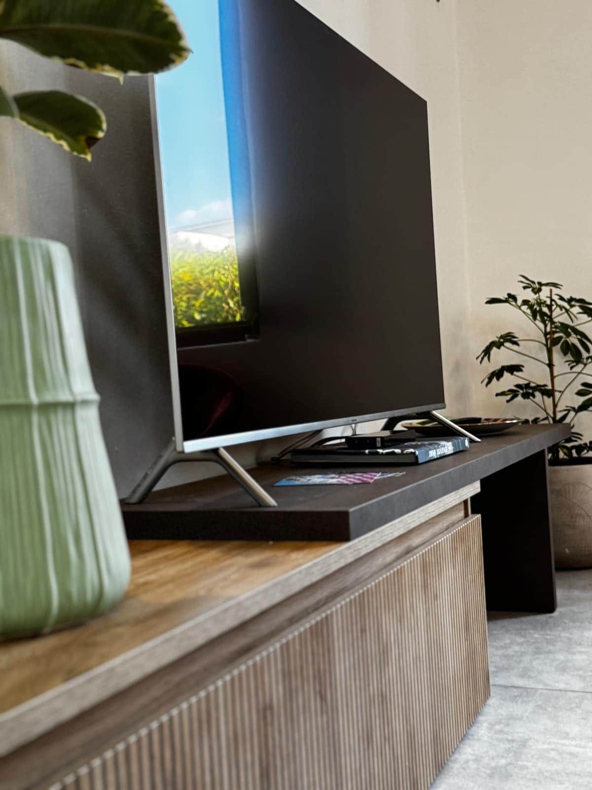Una TV a schermo piatto su un supporto in legno, con una pianta in vaso accanto.