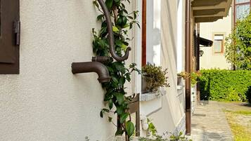 A building with a white exterior, a metal door handle, and a window. There is a balcony with a railing and a potted plant.