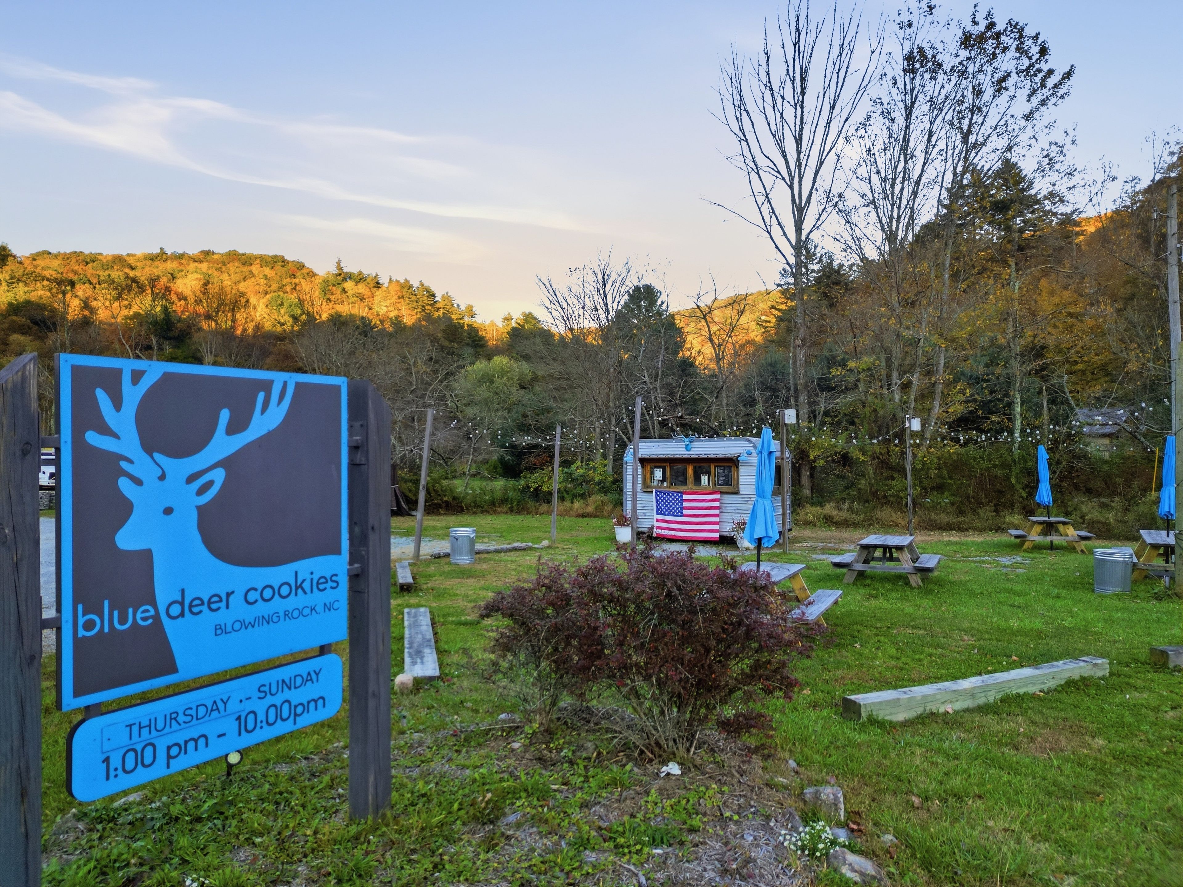 Une enseigne pour la marque de biscuits « Blue Deer Cookies », située dans un cadre rural, avec des tables de pique-nique et une petite cabane.