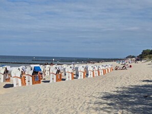 Una platja amb files de cadiretes i ombrel·les numerades, un moll al fons i un cel serè.