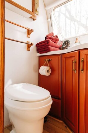 Unclassified image, 4 of 70, button - Airstream*POOL*PrivateTub*MTN*relax*GOATS*stars (Stanardsville)
