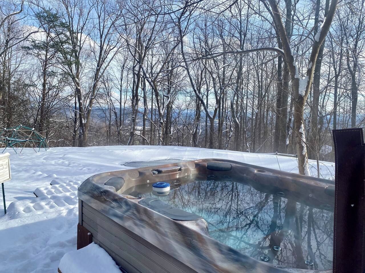 A hot tub outdoors surrounded by snow-covered ground and leafless trees.