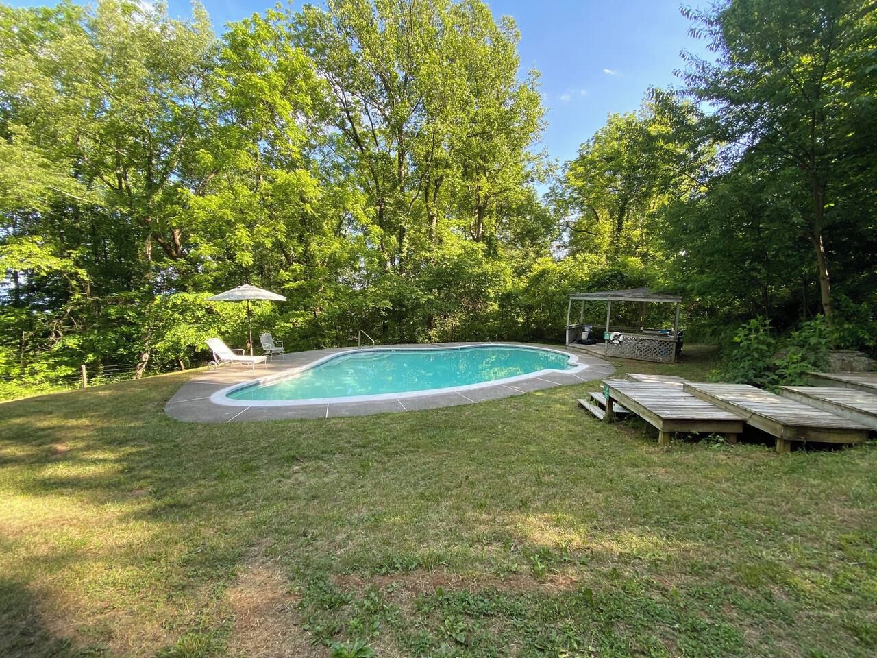 Ein Garten mit Swimmingpool, umgeben von Gras und Bäumen.