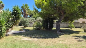Un jardin bien entretenu, agrémenté de divers arbres et arbustes, un chemin pavé et un mur en béton en arrière-plan.