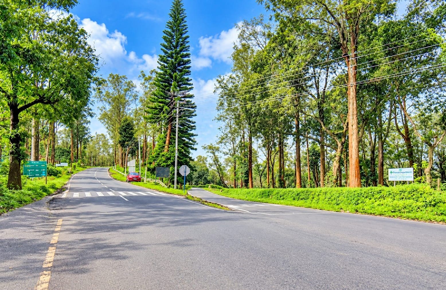 Une route où roule une voiture, bordée d’arbres et de verdure, sous un ciel dégagé.